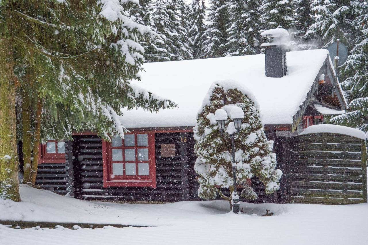 Ferienhaus Naturliebe Winterberg Eksteriør billede